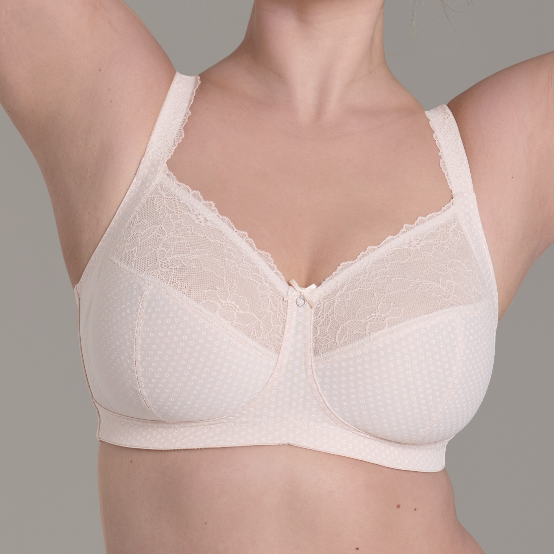 Rosa Faia Eloise 5296